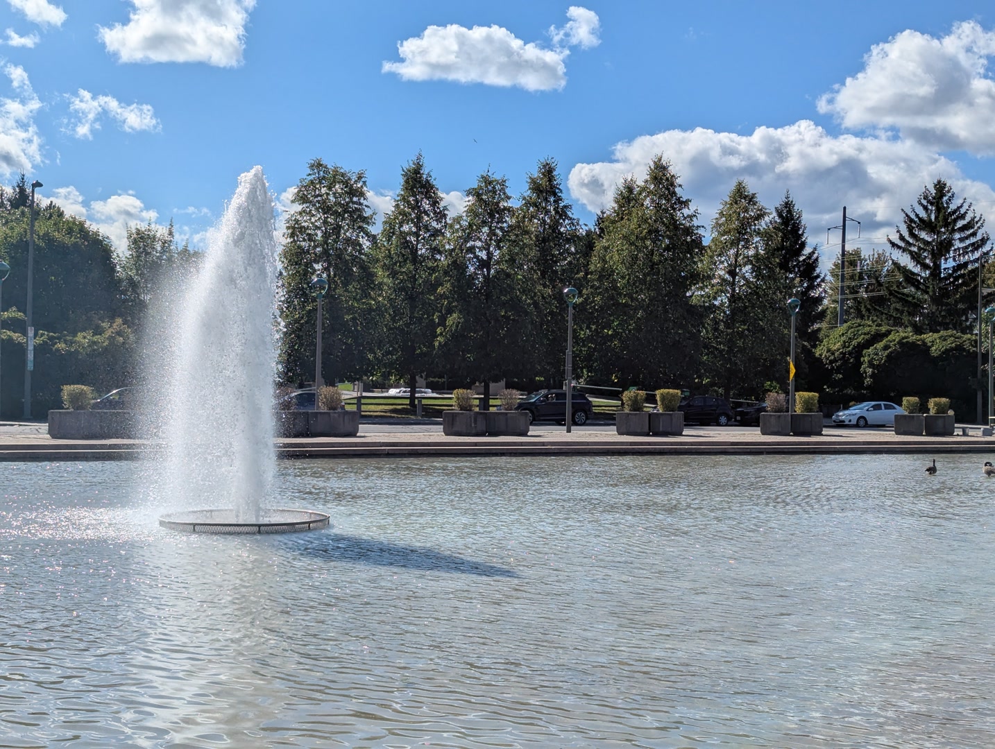 Photo of a water fountain with geese in Centrepointe in Ottawa.